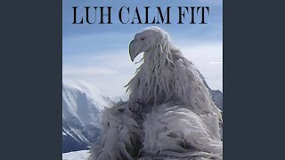 Luh Calm Fit [upl. by Sylram483]