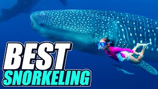 10 BEST SNORKELING DESTINATIONS in the World [upl. by Leiba996]