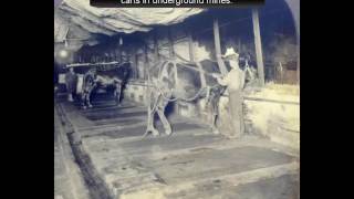 Historic Coal Mining Scenes [upl. by Merth]