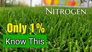 Bet You DONT Know This About Nitrogen Lawn Fertilizers [upl. by Seftton]