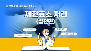 B02 제한효소Restriction Enzyme 처리 방법  실험 꿀 Tip 대방출 [upl. by Enytsuj78]