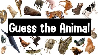 Guess the Animal Sound Game  30 Animal Sounds Quiz  Wildlife Trivia [upl. by Haman]