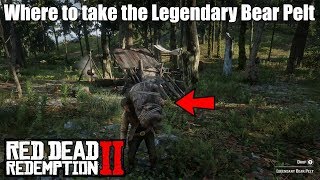 Where to take the Legendary Bear Pelt  Red Dead Redemption 2  EASY [upl. by Evad]