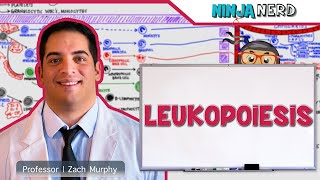 LEUKEMIA Causes Signs and Symptoms Diagnosis and Treatment [upl. by Zacarias]