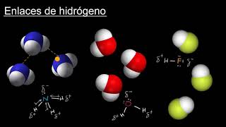 Enlaces de hidrógeno  Khan Academy en Español [upl. by Radborne]