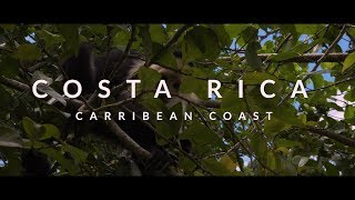 Costa Rica  Caribbean Coast Puerto Viejo Cahuita and more [upl. by Dymoke439]