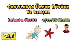 Canlılarda Üreme Büyüme ve Gelişme  7 Sınıf [upl. by Orlando]