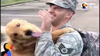 HAPPY Service Dog Reunites With Dad Returning From Helping Hurricane Victims  The Dodo [upl. by Brittany]