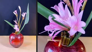 Amaryllis Flower Design Ideas [upl. by Golanka]