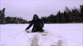 Pêche sur glace Truite mouchetée PRISE EN DIRECT [upl. by Suirtimid117]