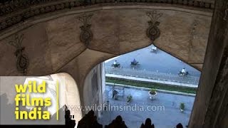 Inside view of Charminar  Hyderabad India [upl. by Iramohs]