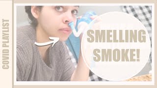 WHY AM I SMELLING SMOKE phantosmia Trying a Nasal Rinse [upl. by Aluap]