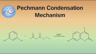 Pechmann Condensation Mechanism Coumarin Synthesis  Organic Chemistry [upl. by Paff]