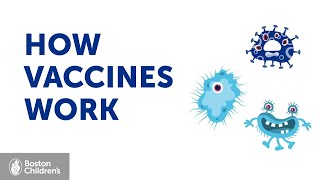 How vaccines work  Boston Childrens Hospital [upl. by Damali]