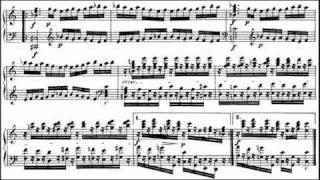 Beethoven  Diabelli Variations Op 120 Grigory Sokolov [upl. by Booth390]