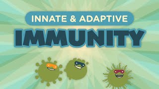 Innate amp Adaptive Immunity [upl. by Dalis]