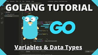 Golang Tutorial 2  Variables amp Data Types [upl. by Ettenwad504]