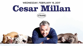 Cesar Millan  Lessons from the Pack [upl. by Egiap]