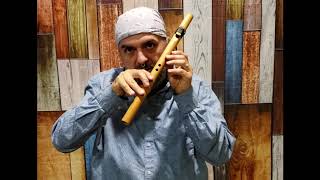 How to Play the Native American Flute in under 10 minutes EASY Lesson 1 [upl. by Redna]