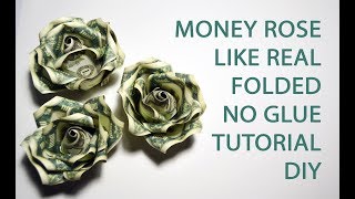 Money Rose like Real Origami Flower Folded No glue Dollar Tutorial DIY [upl. by Keane]