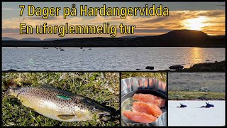 Hardangervidda  Fisketur  Sant [upl. by Ramona]