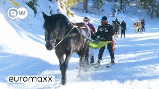 The Traditional Winter Sport Of Skijoring [upl. by Anilys]