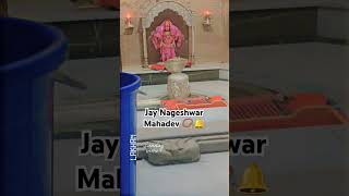 Jay Nageshwar Mahadev 📿 [upl. by Moskow]