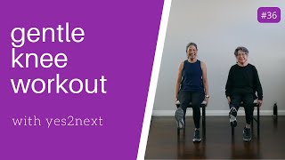 GENTLE KNEE WORKOUT  Seniors Beginner Exercisers [upl. by Calloway]