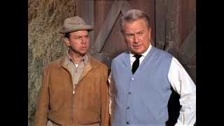 Green Acres  The Moo Activated Barn Door amp Mr Douglas TV Show [upl. by Mairb]