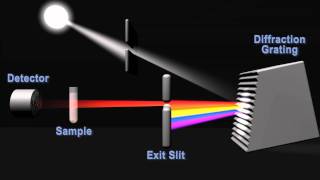 How does a spectrophotometer work [upl. by Eynobe]