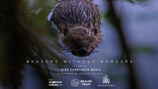 Beavers Without Borders a short documentary [upl. by Straus]