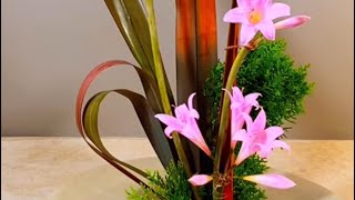 Amaryllis Flower Arrangement Ideas [upl. by Art]