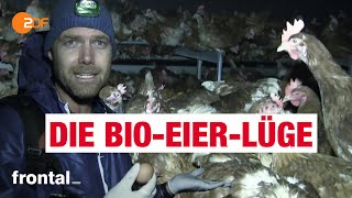 BioEier Massentierhaltung und Tierleid  frontal [upl. by Gilpin]