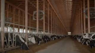 Customer Video  Sunnyside Farms [upl. by Ravaj772]