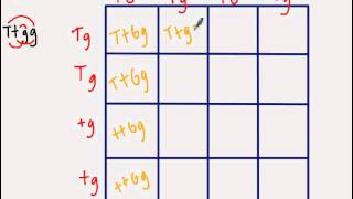 Dihybrid Punnett Square [upl. by Asilaj]