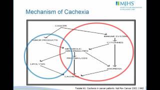 Management of Anorexia Cachexia [upl. by Darlleen]