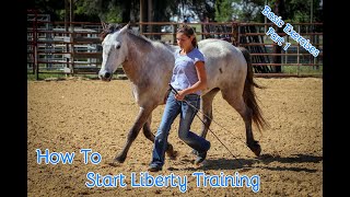 How To Start Liberty Training With Your Horse Basic Exercises Part 1 [upl. by Andrei]