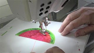 Machine Applique Technique [upl. by Ahsei76]