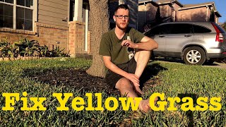 How to Fix Yellowing St Augustine Grass [upl. by Odlabso258]