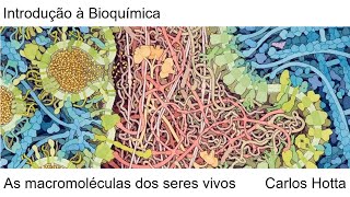 As macromoléculas dos seres vivos [upl. by Kessiah]