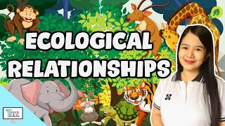 Ecological Relationships Predation Commensalism Mutualism Parasitism Competition  Biology [upl. by Enilarac]