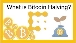 What is the Bitcoin Halving  CoinDesk Explains [upl. by Austen288]