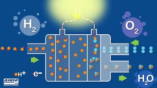 ¿Cómo funciona una pila de hidrógeno  How does a hydrogen fuel cell work [upl. by Dalt]