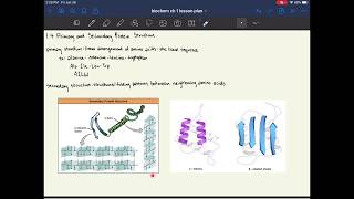 MCAT Biochemistry Chapter 1 Amino Acids Peptides and Proteins [upl. by Akeryt]