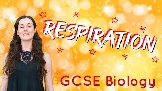 Respiration  GCSE Biology [upl. by Lily]