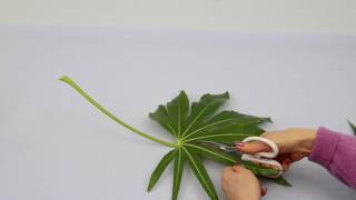 Ikebana Tips by Junko 14 modifying leaves [upl. by Llerrah]