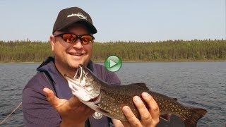 Lac Albanel pêche au doré truite mouchetée et brochet [upl. by Aissak]