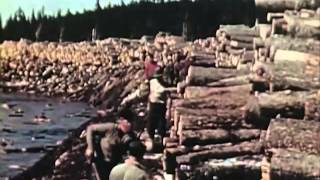 1950s Sawmill Workers Educational Documentary  Timber In The Northeast  CharlieDeanArchives [upl. by Bricker]