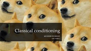 Classical Conditioning [upl. by Aivad199]