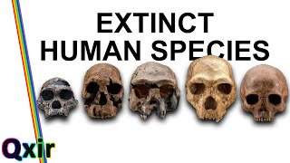 Homo Sapiens Were Not Alone [upl. by Sikes]